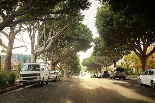 Sunlit avenue in Laguna Beach with parked cars and lush trees lining the street.